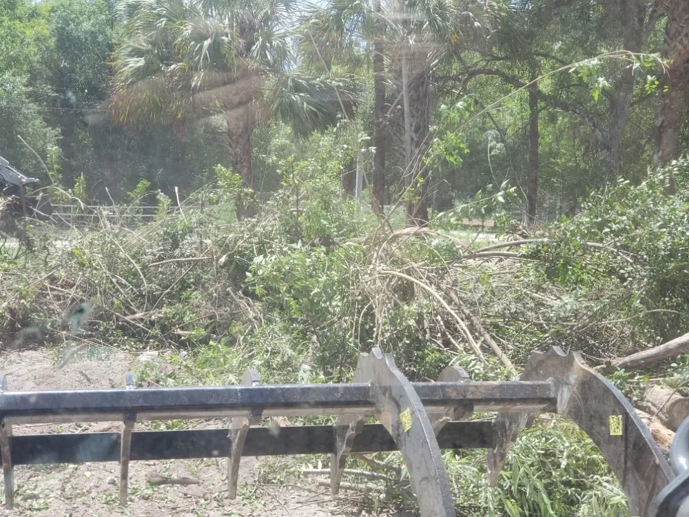 Expert landscape design experts serving Lehigh Acres, FL - Dirty Deeds SWFL