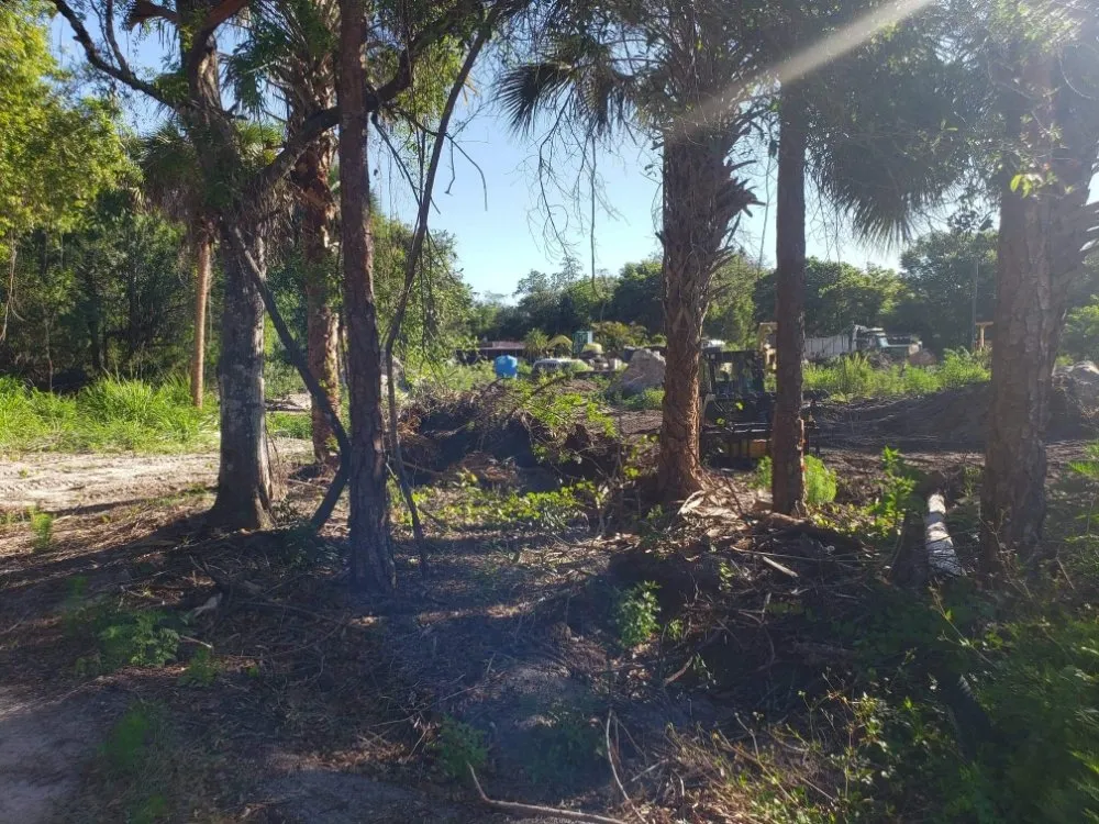 Expert yard cleanup service in Lehigh Acres, FL by Dirty Deeds SWFL