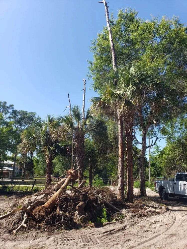 Top-rated lawn care service in Lehigh Acres, FL by Dirty Deeds SWFL