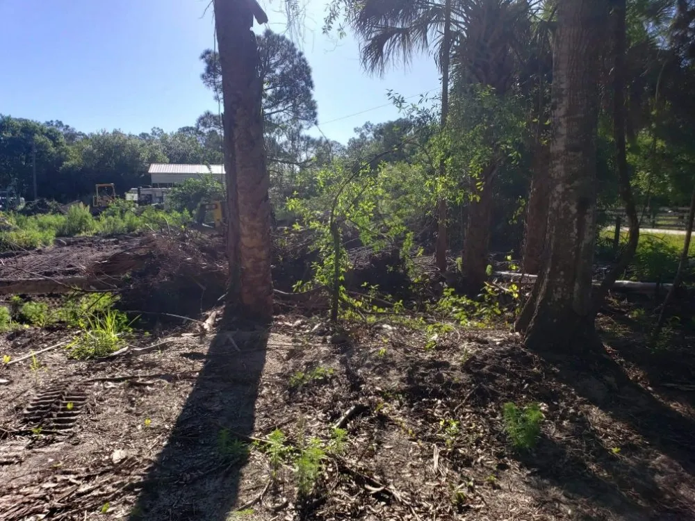 Expert landscaping services with custom design in Lehigh Acres, FL by Dirty Deeds SWFL