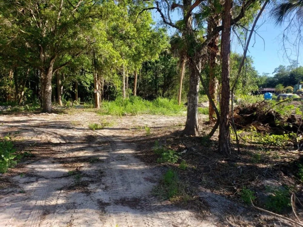 Top-rated landscape design near you in Lehigh Acres, FL by Dirty Deeds SWFL