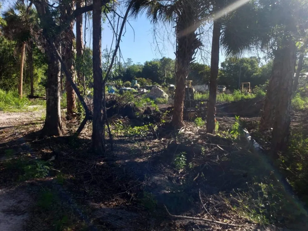 Local landscape installation experts serving Lehigh Acres, FL - Dirty Deeds SWFL