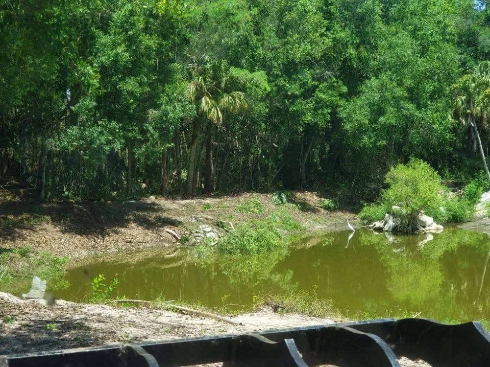 Trusted outdoor landscaping for residential properties in Lehigh Acres, FL by Dirty Deeds SWFL