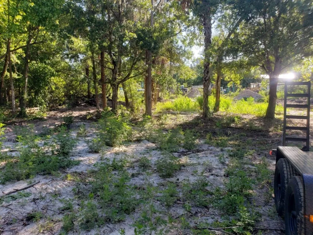 Expert outdoor landscaping for residential properties in Lehigh Acres, FL by Dirty Deeds SWFL