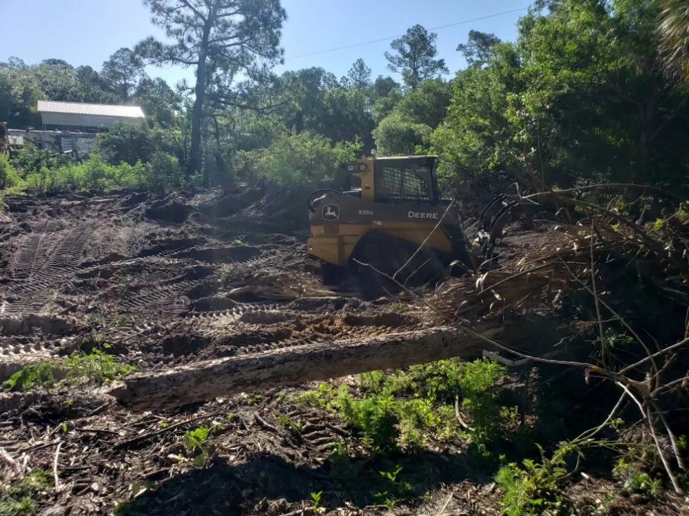 Custom yard cleanup service for residential properties in Lehigh Acres, FL by Dirty Deeds SWFL