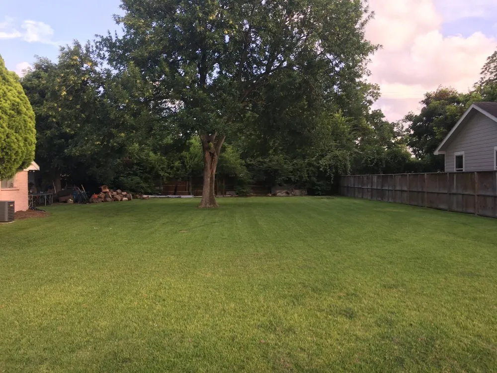 Trusted yard maintenance experts serving Houston, TX - Dirty Dirt Multiservices