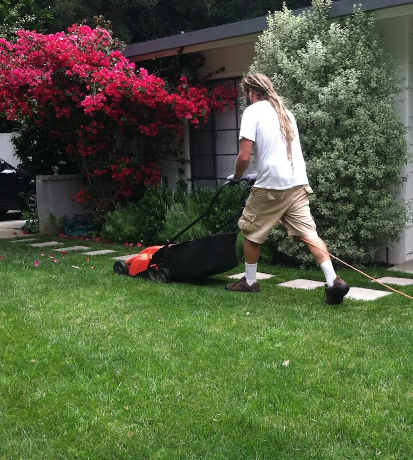 Professional yard cleanup service in Pacific Palisades, CA by Dirty Girl Organic Landcare