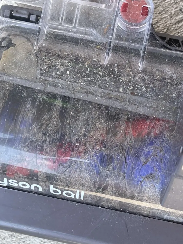 Expert lawn care service in Ranson, WV - Dirty Girl