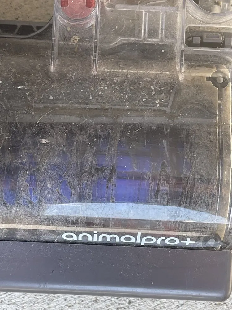 Top-rated lawn mowing service for year-round maintenance across Ranson, WV - Dirty Girl