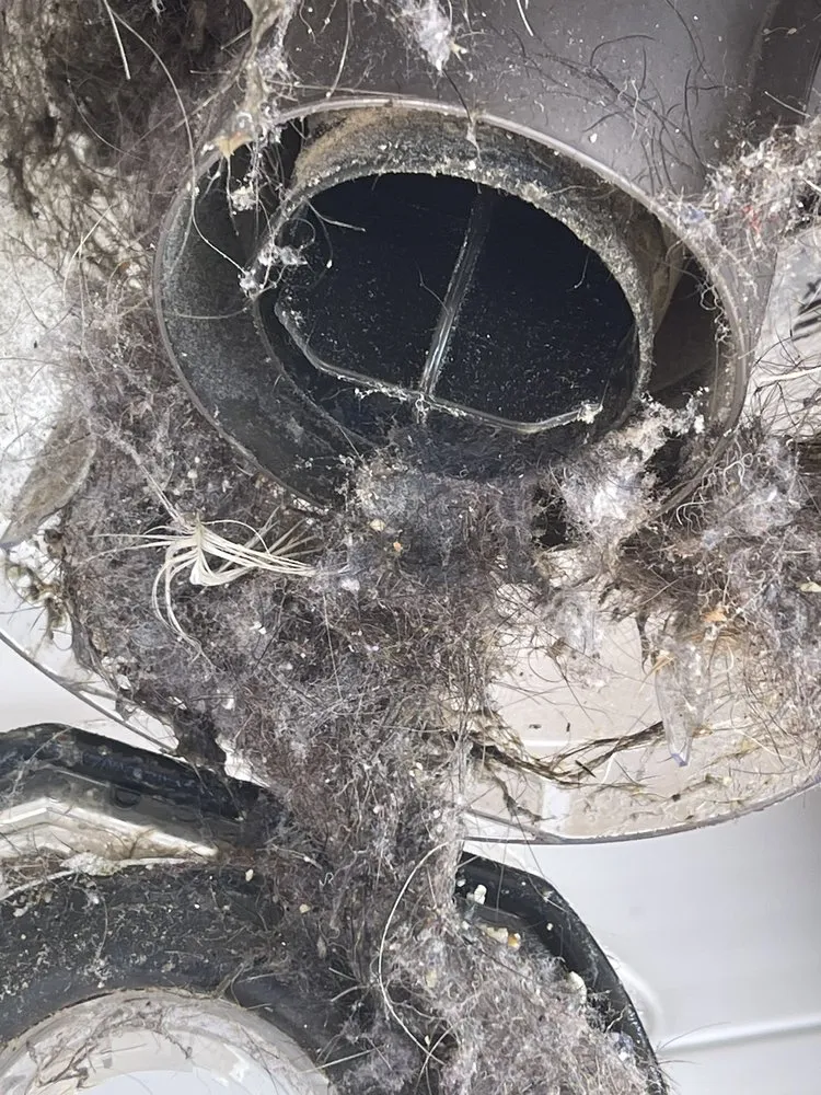 Professional yard maintenance for year-round maintenance across Ranson, WV - Dirty Girl