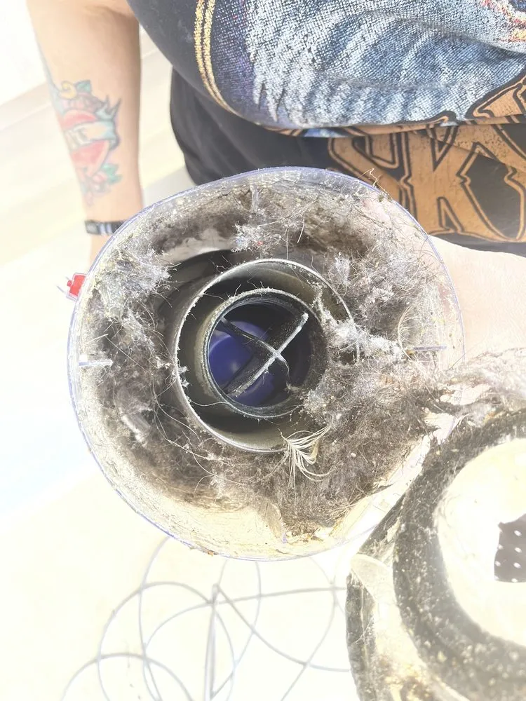 Professional lawn care service experts serving Ranson, WV - Dirty Girl