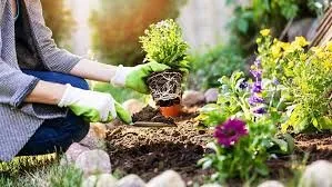 Local garden landscaping in Commerce, GA - Dirty Girls Lawn and Garden Detailers
