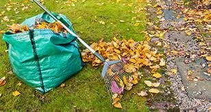 Top-rated outdoor landscaping in Commerce, GA - Dirty Girls Lawn and Garden Detailers