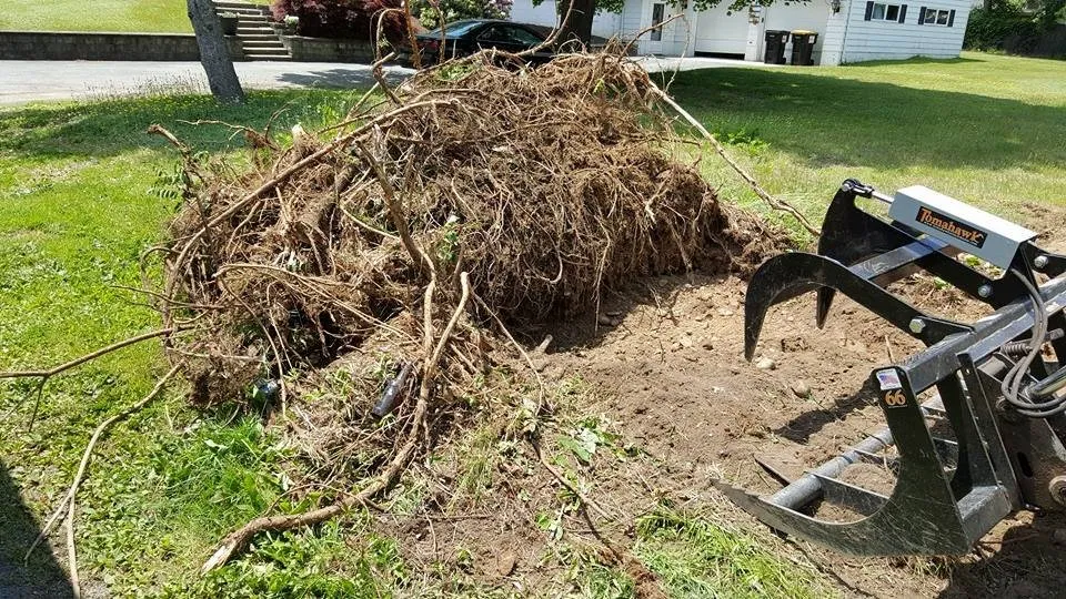 Professional residential landscaping for beautiful yards across Hyde Park, NY - Dirty Gloves