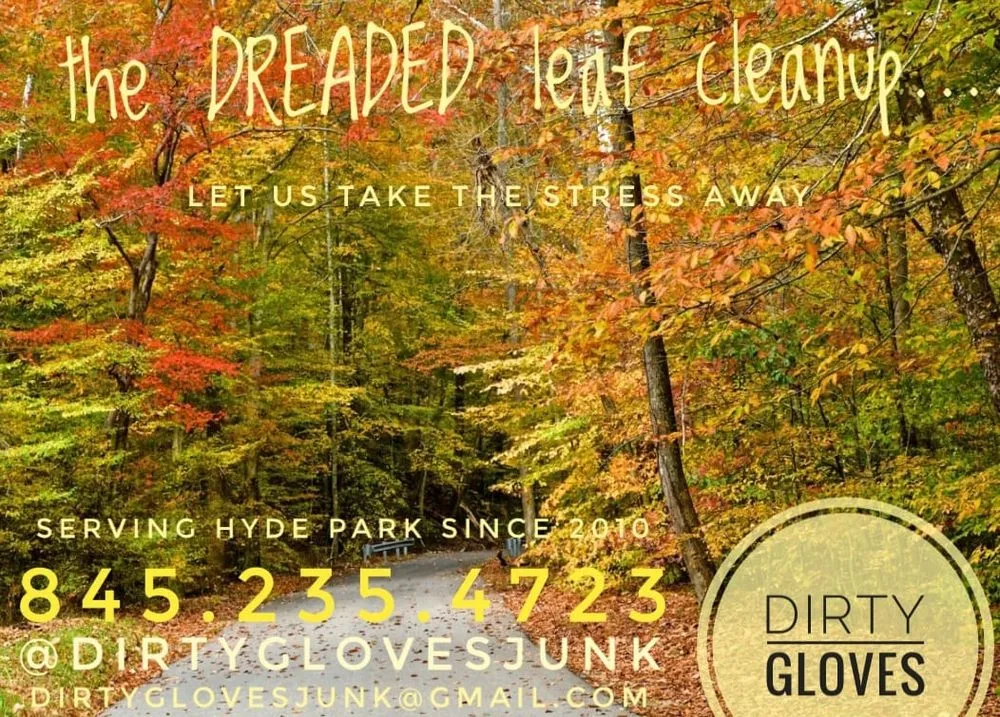 Affordable lawn care service for beautiful yards in Hyde Park, NY by Dirty Gloves
