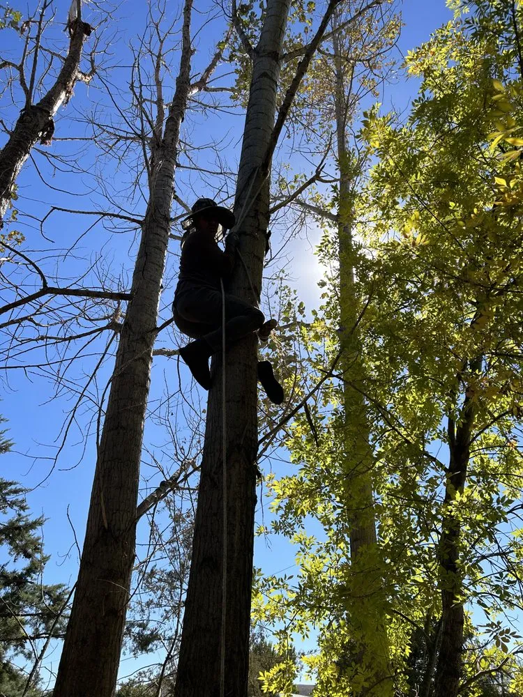 Professional landscape design experts serving Rio Rancho, NM - Dirty Gloves Landscaping