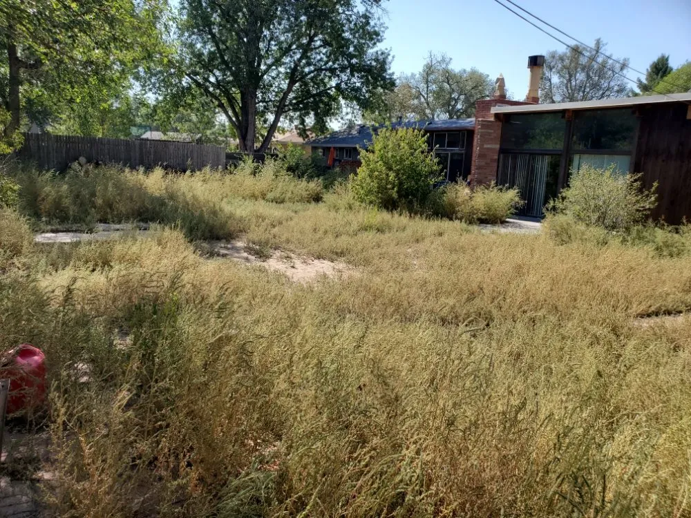 Trusted lawn mowing service in Colorado Springs, CO - Dirty Gloves Lawn Care