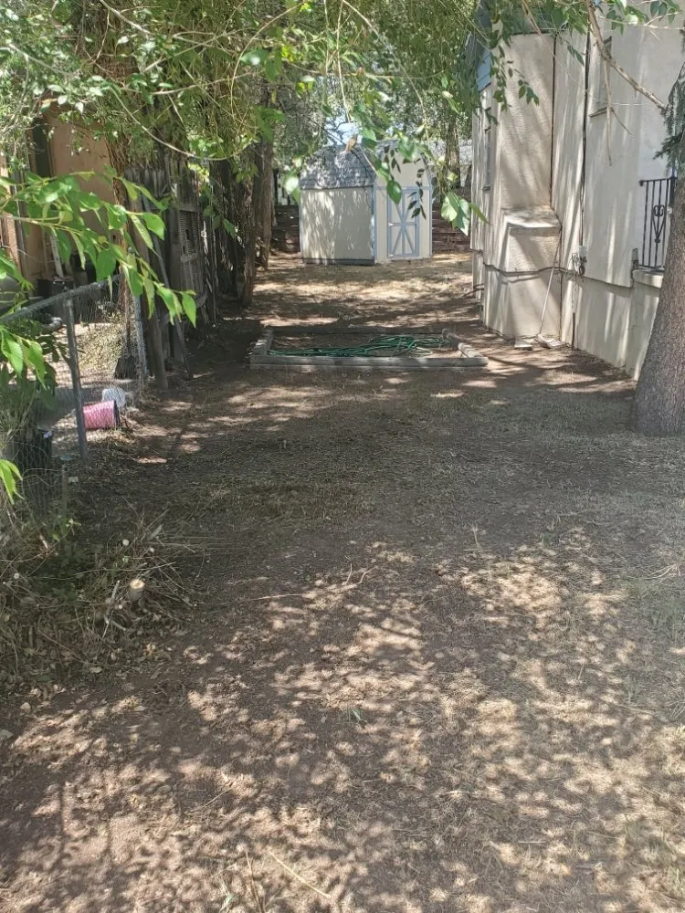 Trusted lawn care service for homes in Colorado Springs, CO by Dirty Gloves Lawn Care