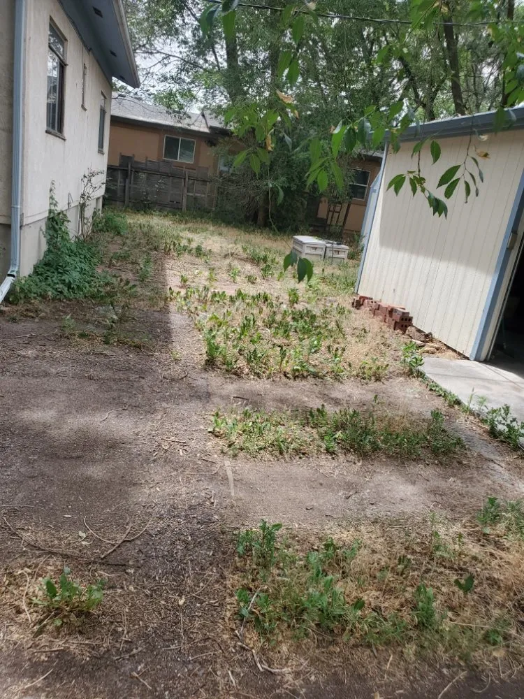 Professional residential landscaping experts serving Colorado Springs, CO - Dirty Gloves Lawn Care