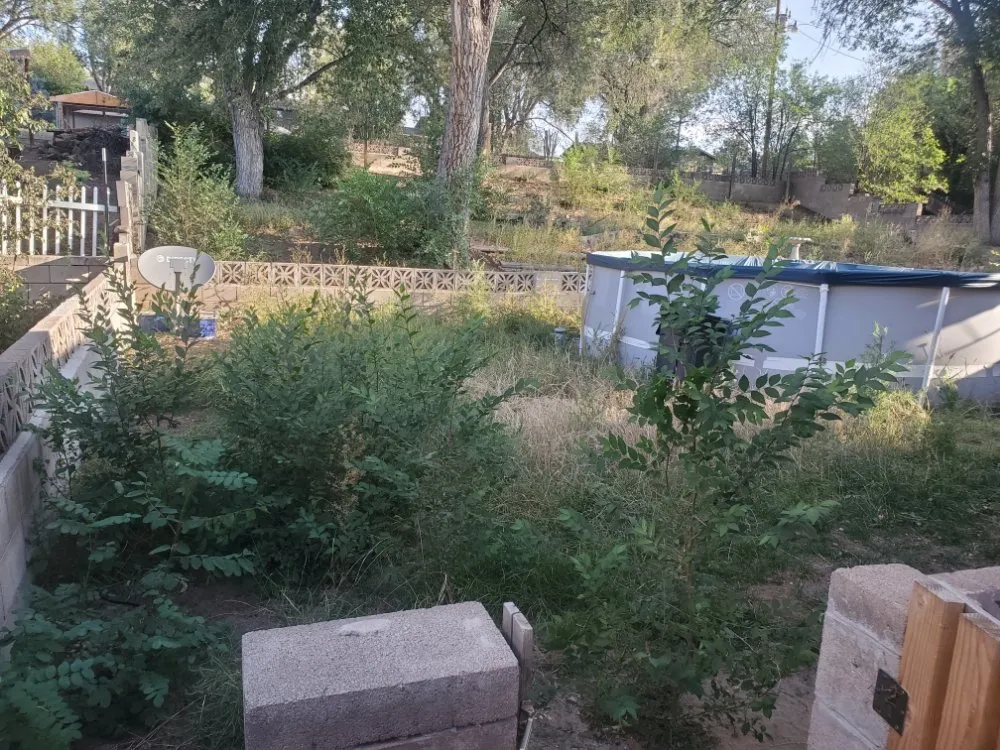 Top-rated yard cleanup service with custom design in Colorado Springs, CO by Dirty Gloves Lawn Care