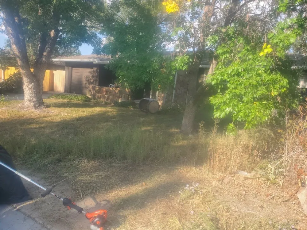 Affordable landscape design in Colorado Springs, CO by Dirty Gloves Lawn Care