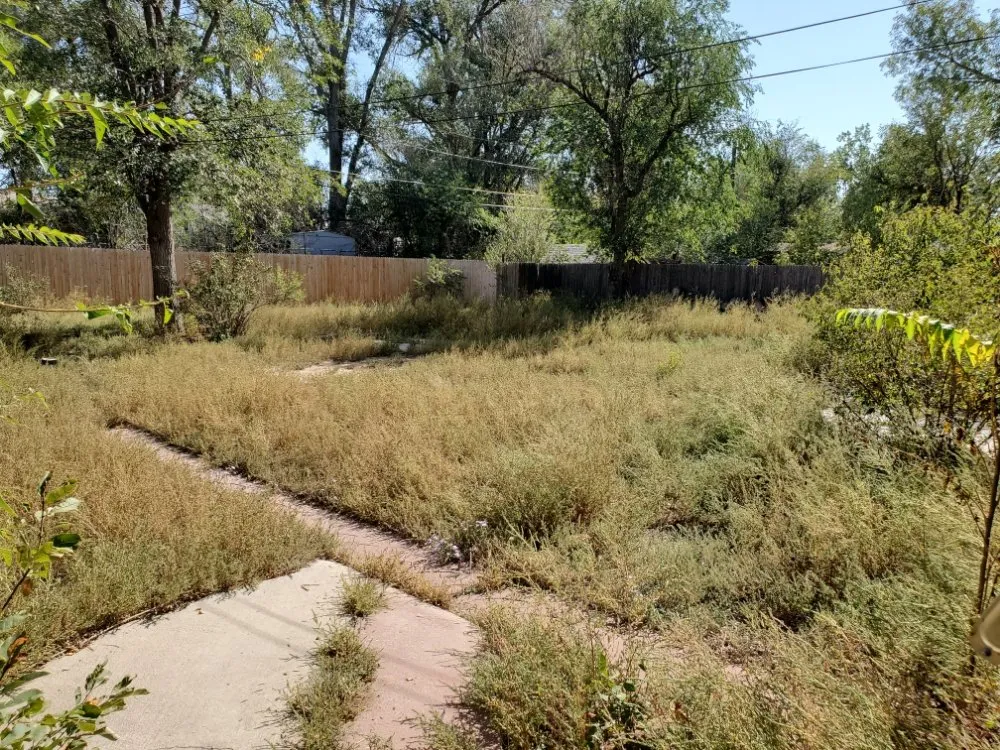 Local lawn mowing service for year-round maintenance in Colorado Springs, CO by Dirty Gloves Lawn Care