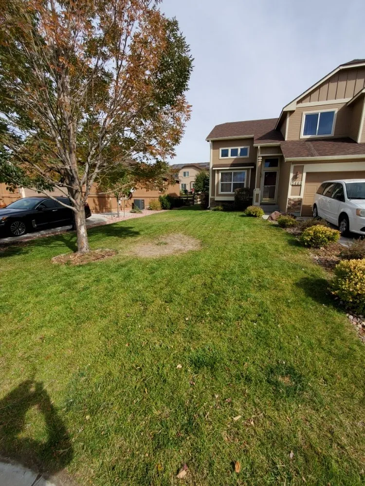 Professional landscaping services in Colorado Springs, CO - Dirty Gloves Lawn Care