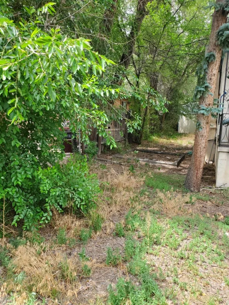 Reliable yard maintenance in Colorado Springs, CO by Dirty Gloves Lawn Care