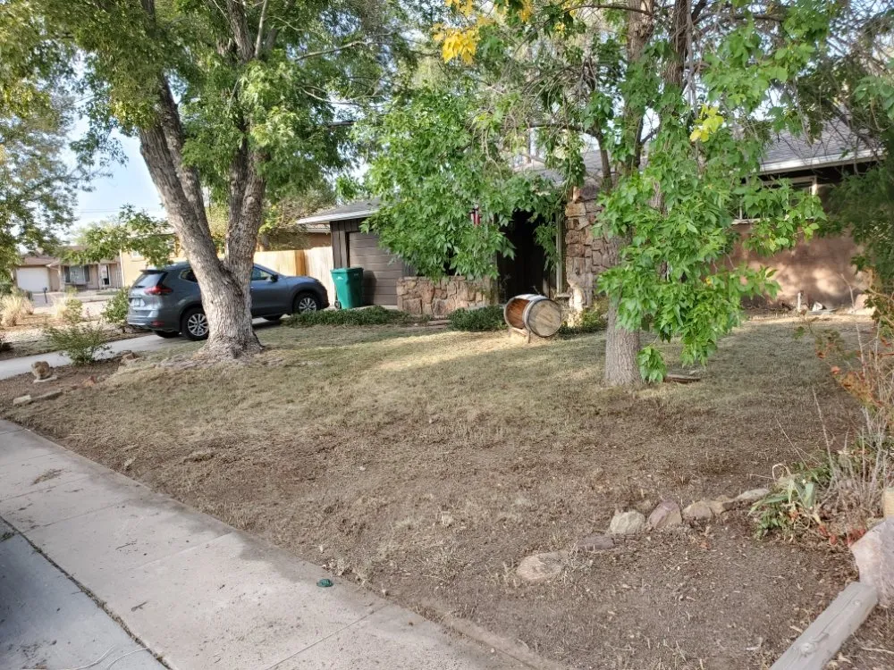 Top-rated landscape installation in Colorado Springs, CO - Dirty Gloves Lawn Care