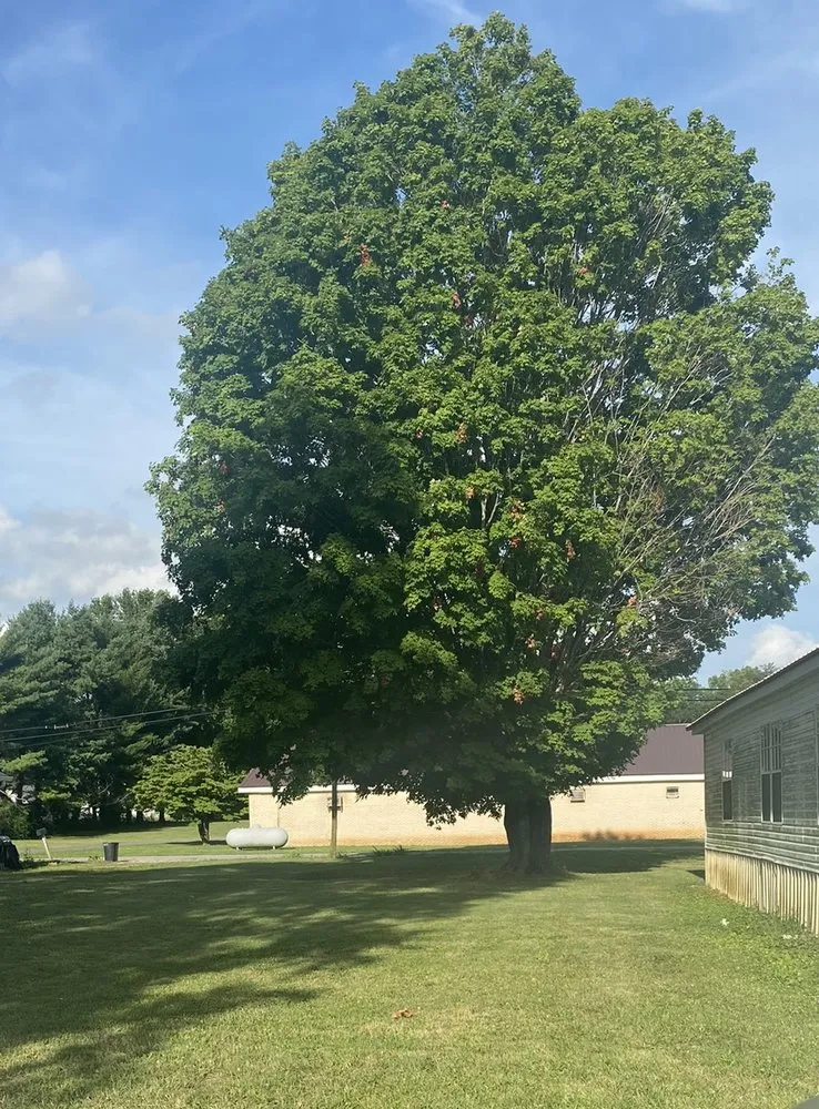 Trusted lawn care service with custom design in Cowan, TN by Dirty Hands Lawn & Landscaping