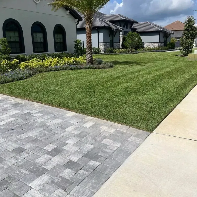 Reliable lawn care service near you in Luling, LA by Dirty Marsh Lawncare