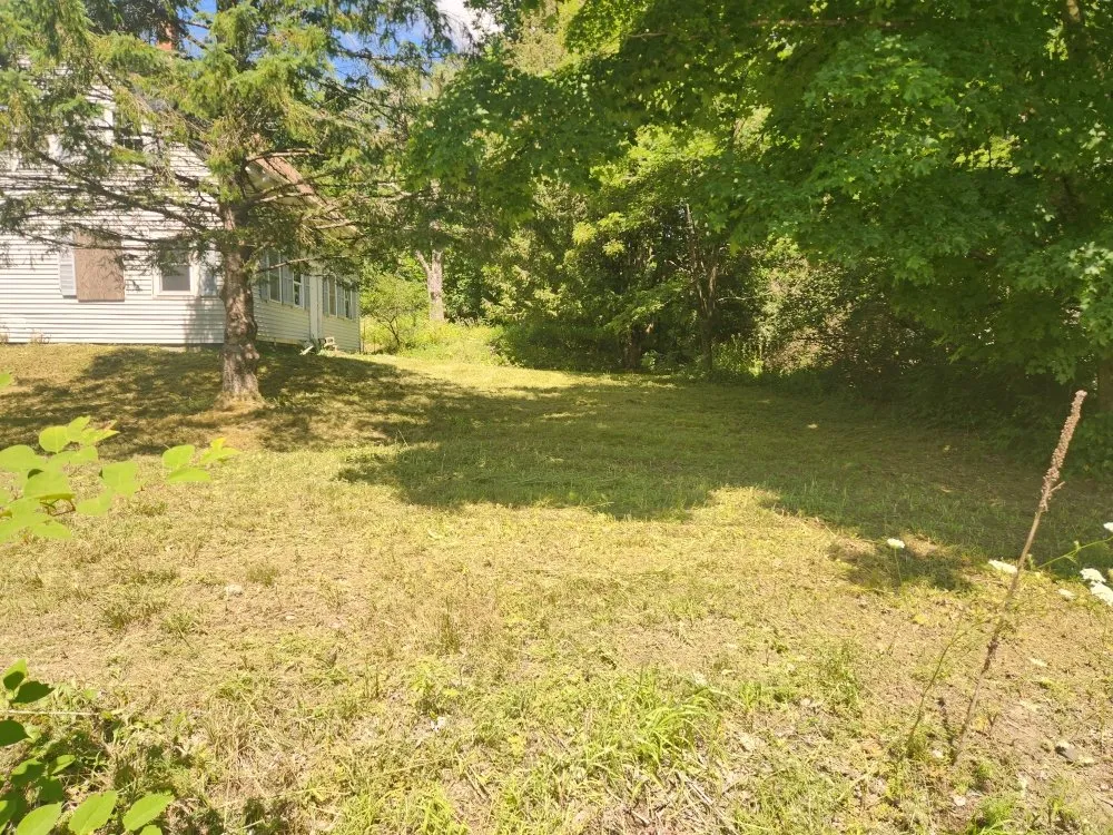 Local lawn mowing service in Glenburn, ME - Dirty Seeds