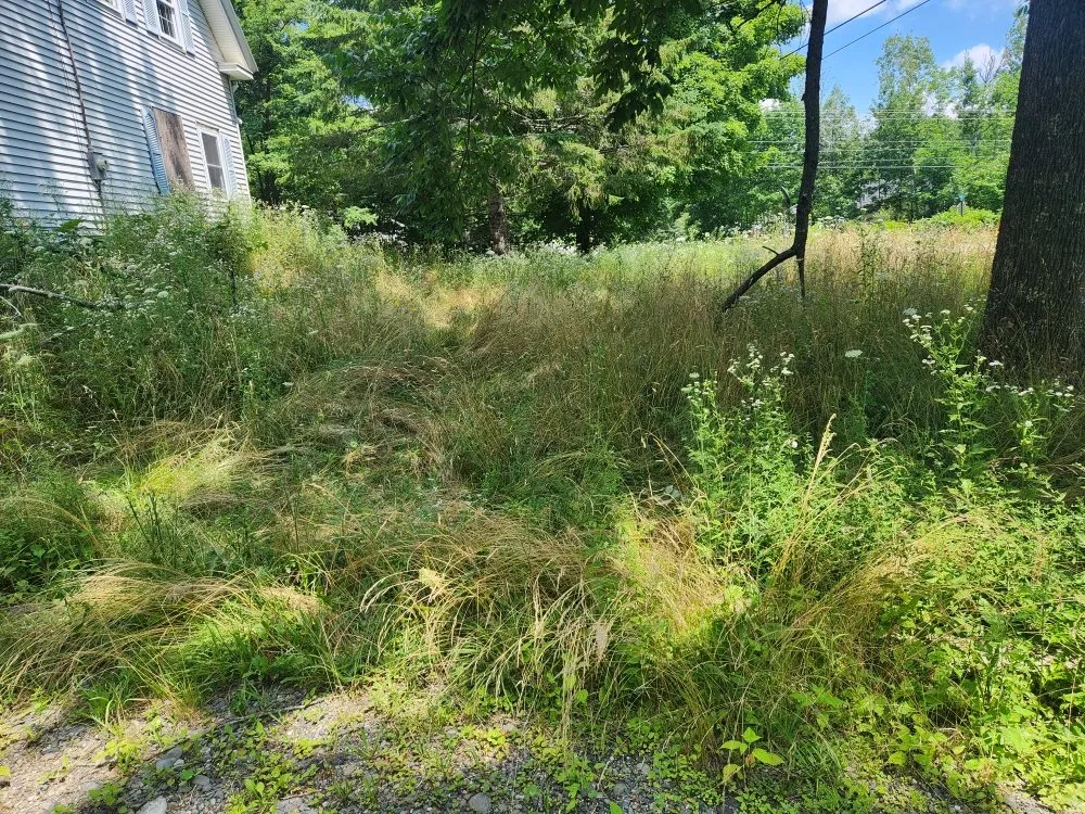 Affordable landscape design for outdoor upgrades in Glenburn, ME by Dirty Seeds