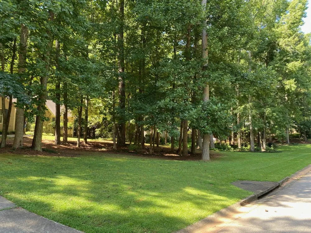 Professional lawn care service in Grantville, GA by Dirty South Lawn Care