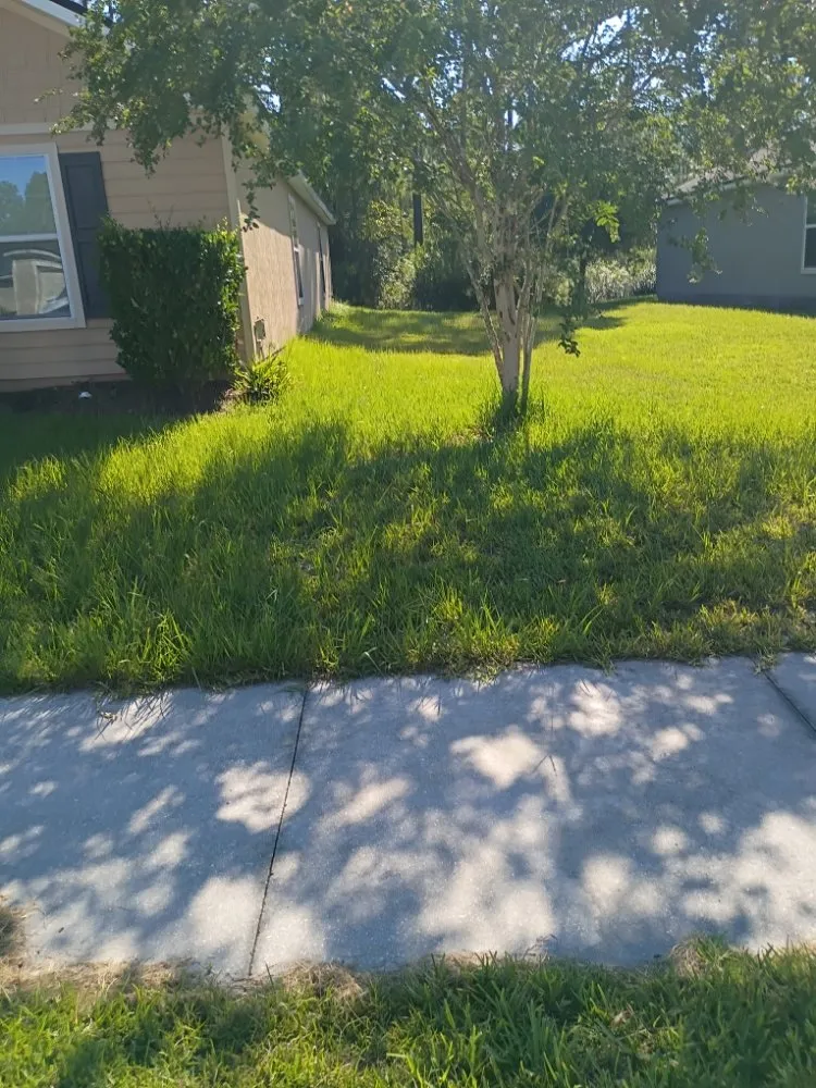 Trusted outdoor landscaping for year-round maintenance in Starke, FL by Dirty South Trio