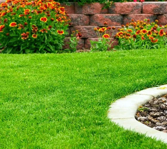 Reliable lawn care service in Starke, FL - Dirty South Trio