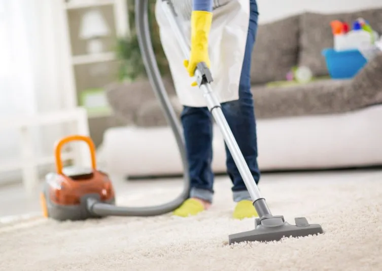 Top-rated yard maintenance for beautiful yards across Starke, FL - Dirty South Trio