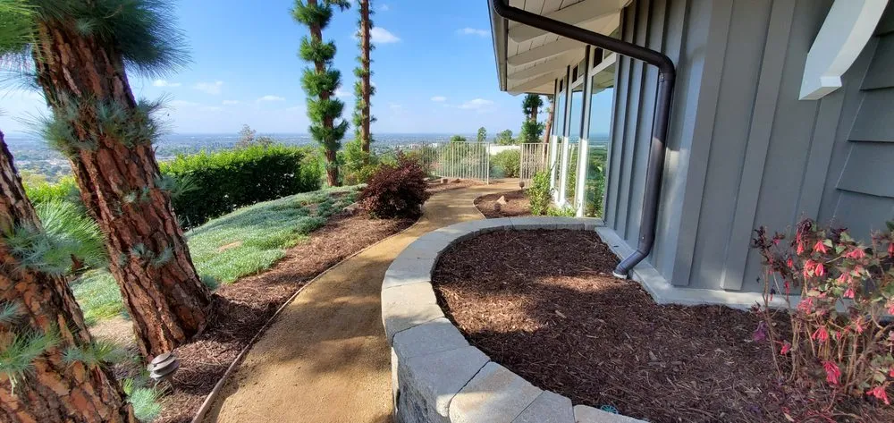 Trusted yard cleanup service in Anaheim, CA - Dirty Work Landscape Company