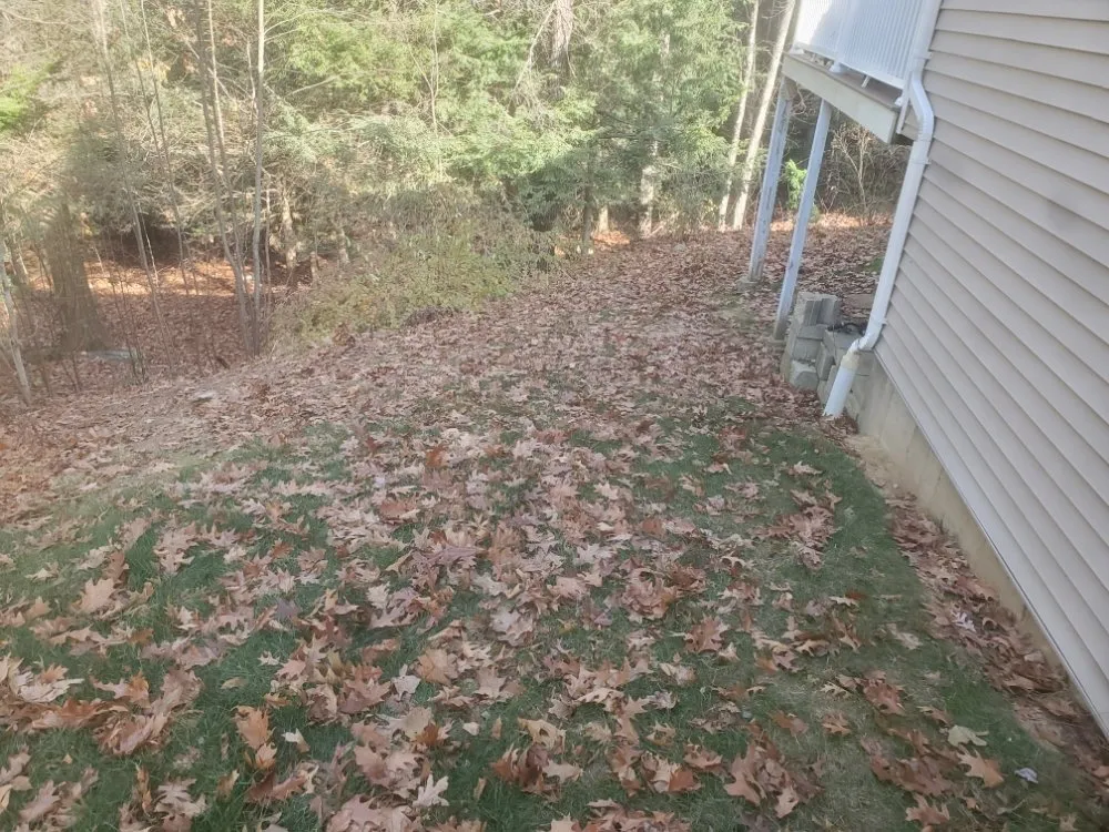 Expert yard cleanup service experts serving Stafford, CT - Dirty Work Property Services