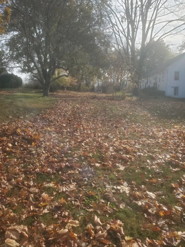 Reliable yard cleanup service for outdoor upgrades across Stafford, CT - Dirty Work Property Services