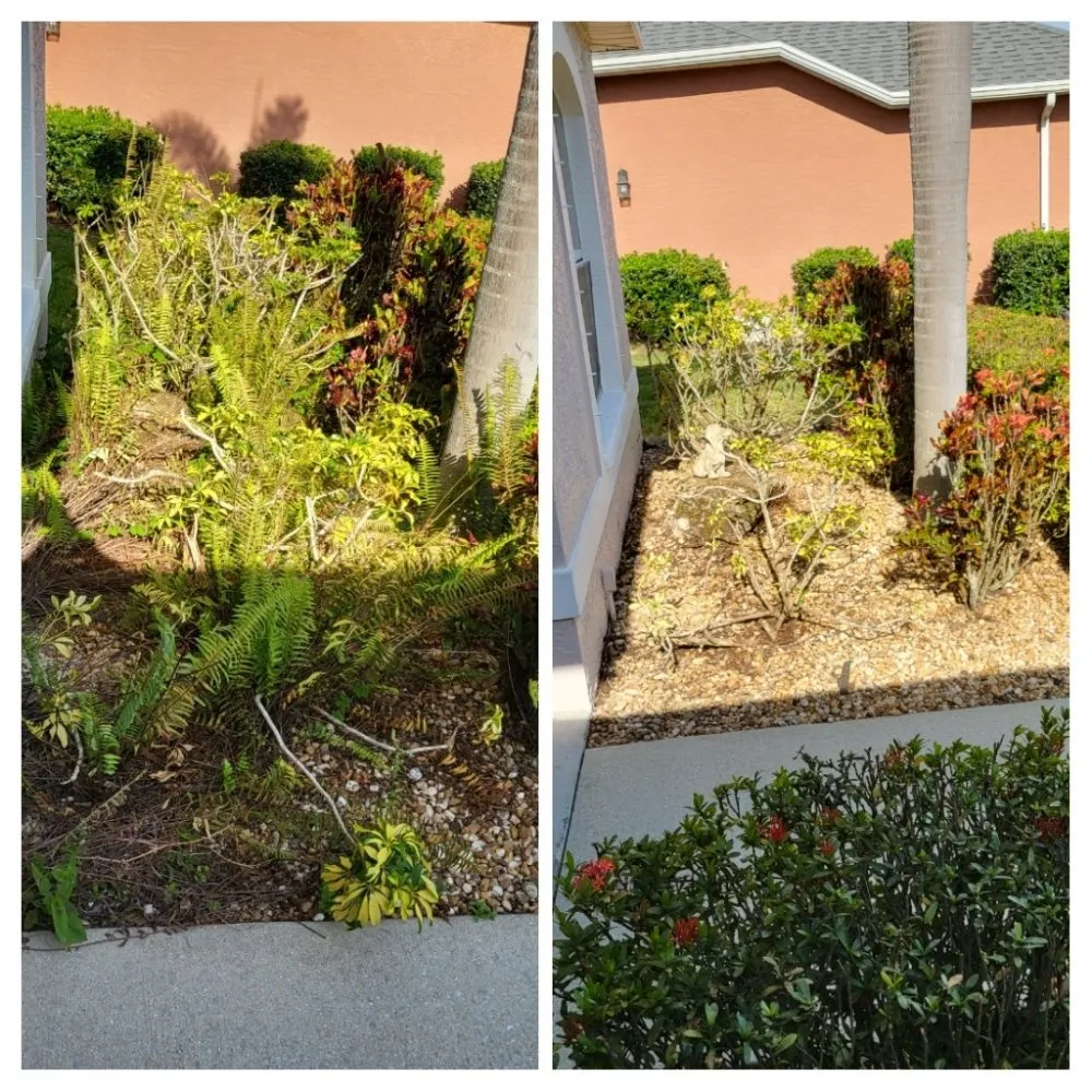 Expert lawn care service in Sarasota, FL - Dirty Works Landscaping