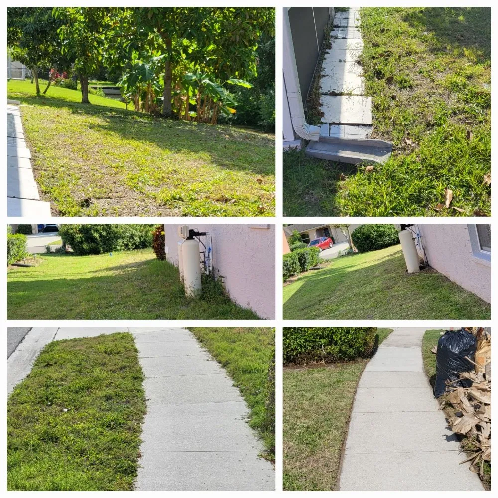 Reliable outdoor landscaping for year-round maintenance in Sarasota, FL by Dirty Works Landscaping