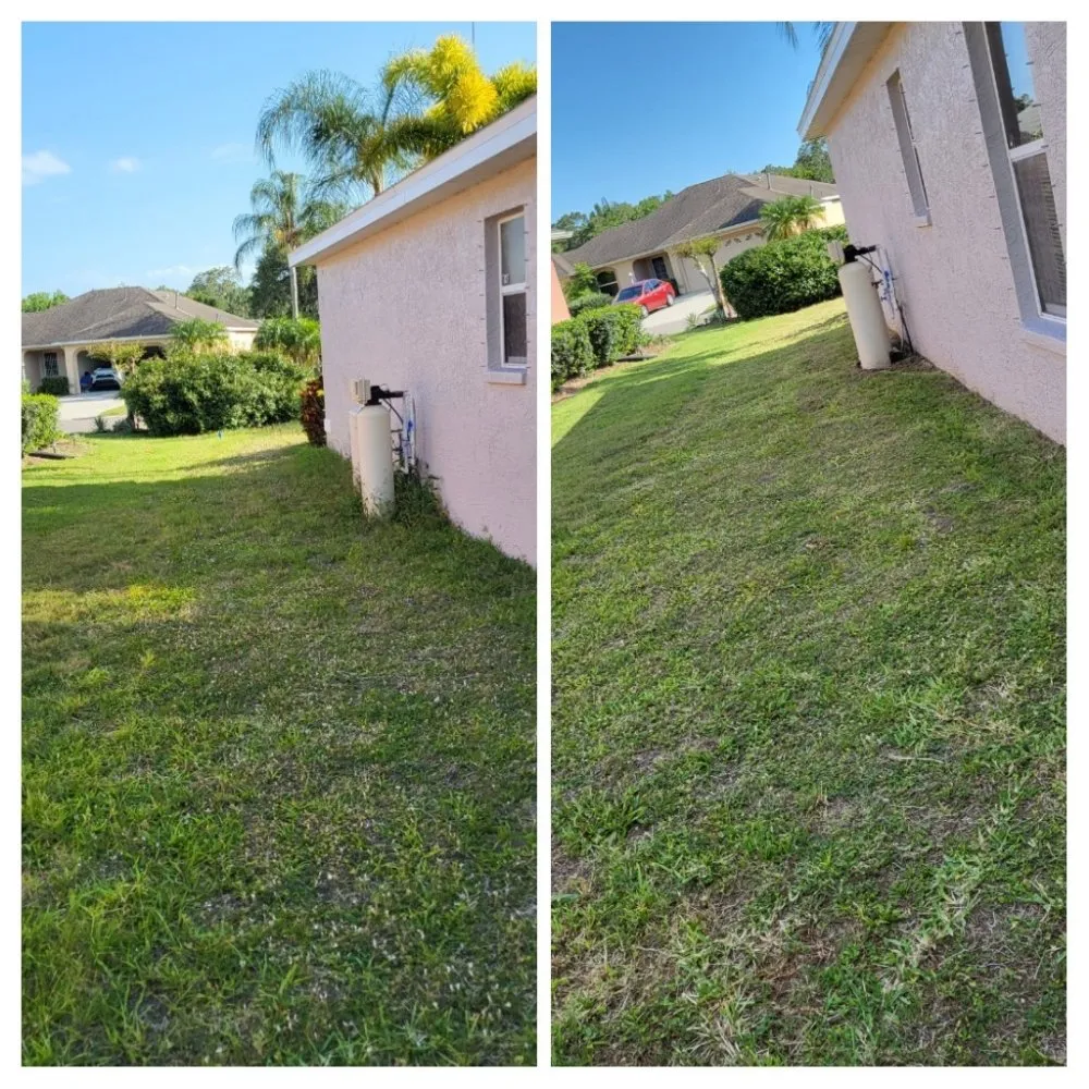 Trusted yard maintenance in Sarasota, FL - Dirty Works Landscaping
