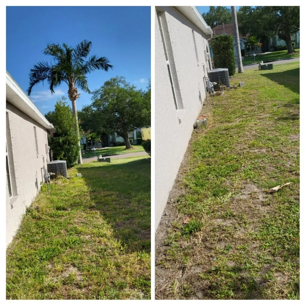 Trusted landscaping services for residential properties across Sarasota, FL - Dirty Works Landscaping