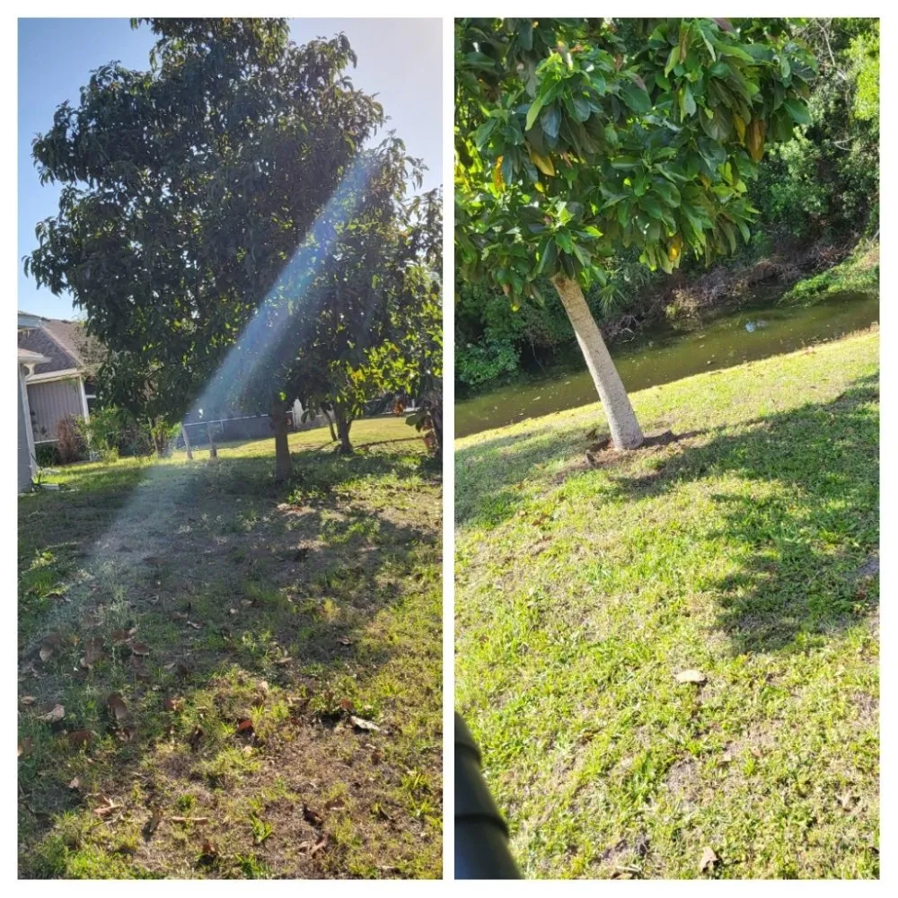 Reliable yard cleanup service in Sarasota, FL by Dirty Works Landscaping