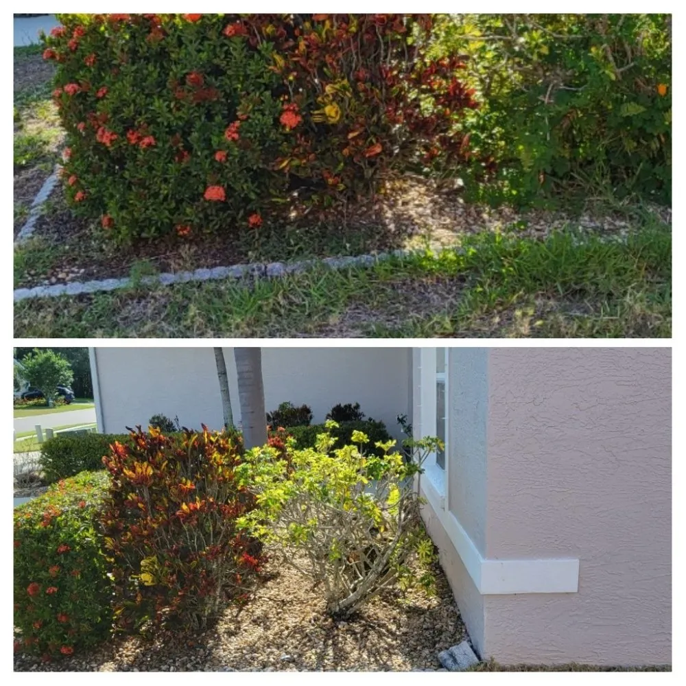 Trusted landscape design experts serving Sarasota, FL - Dirty Works Landscaping