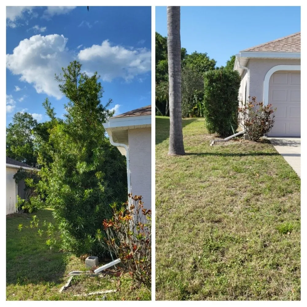 Expert landscaping services for year-round maintenance in Sarasota, FL by Dirty Works Landscaping