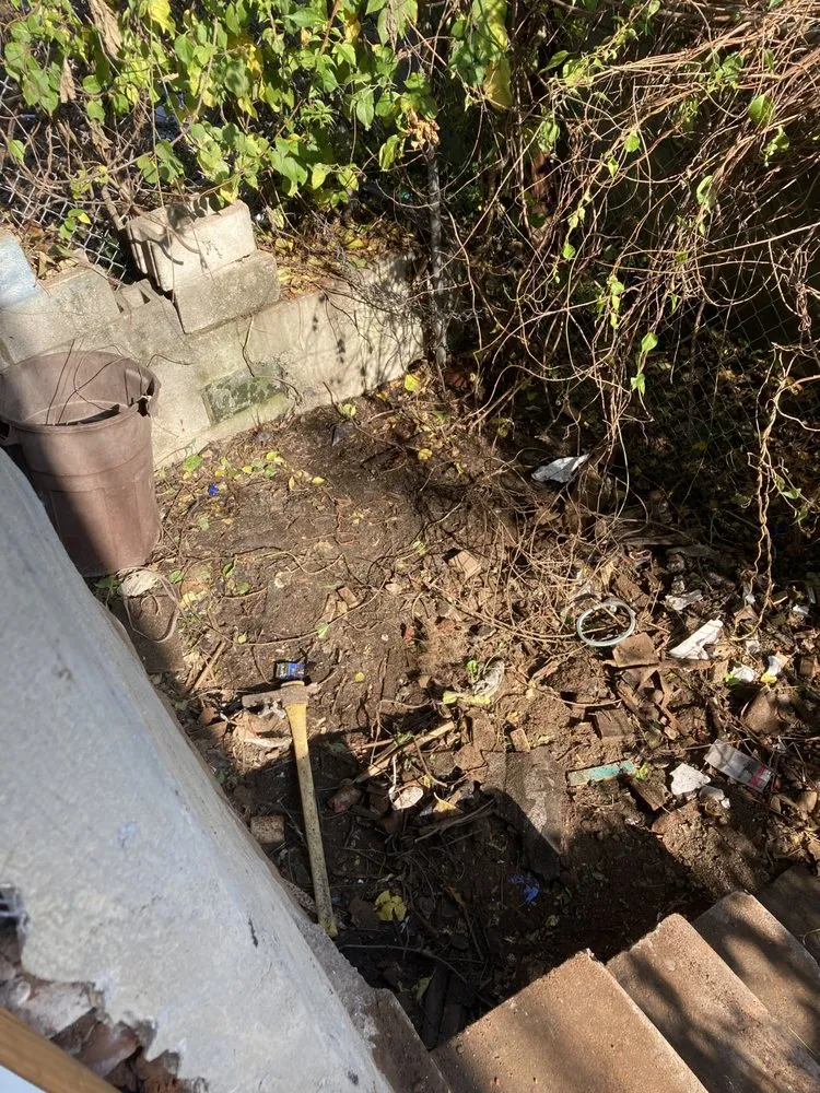 Reliable lawn care service near you in Philadelphia, PA by Dirty Worx Cleaning and Environmental Solutions