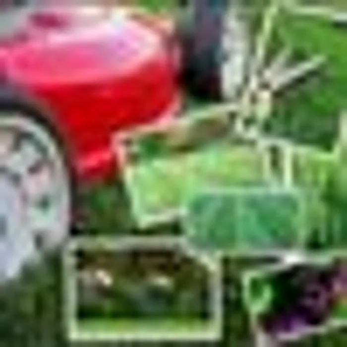 Reliable residential landscaping in Roswell, NM by DirtyDeed's Services