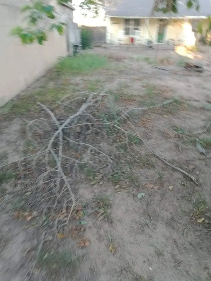 Top-rated lawn mowing service in Roswell, NM - DirtyDeed's Services